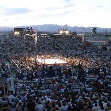 Here for Boxing. 🥊 🥊 🥊