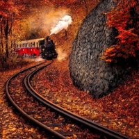 Michael Thompson (@michael55072741) 's Twitter Profile