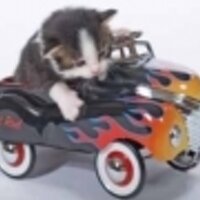 KateSherbine (@iamsam814) 's Twitter Profile