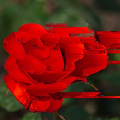 SntTGR's profile picture. .