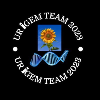 Genetically Engineered Sunflowers in the Quest to Reduce Greenhouse Gas Emissions  #iGEM2023- Looking for it! We are the first iGEM’s team from Rwanda