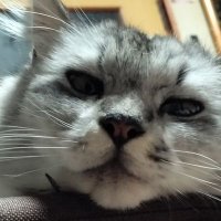 タモちゃん💊 (@sora_minto2022) Twitter profile photo