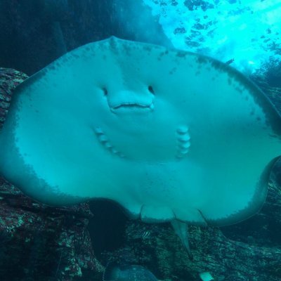 LwaziVazhure's profile picture. 