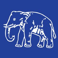 All India BSP(@AllIndiaBSP) 's Twitter Profile Photo