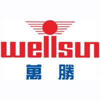 Wellsun Intelligent(@WellsunIntel) 's Twitter Profile Photo