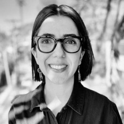 Iranian, immigrant, researcher of language policy & family-community-school connections, educator, assistant professor of bilingual education at ASU