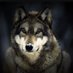 Aliyusif Kerimov (@kerimov93k) Twitter profile photo Aliyusif Kerimov (@kerimov93k) Twitter profile photo