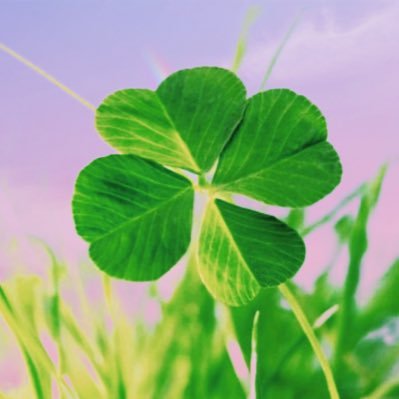 haco03131's profile picture. 自分の力で未来を切り拓いて行く山下智久さんを応援しています。沢山の皆様と思いを共有できますように💜RT多め。よろしくお願い致します🤲