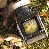 The shed project (@theshedproject) 's Twitter Profile