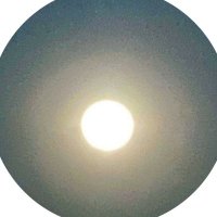 佳 (@rcwsu7l4k4bpuxx) 's Twitter Profile