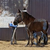 Erica Yates (@ericayates85527) 's Twitter Profile