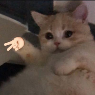 criistyll's profile picture. multifandom(tloz, toh, amphibia, Fionna & Cake, + others)