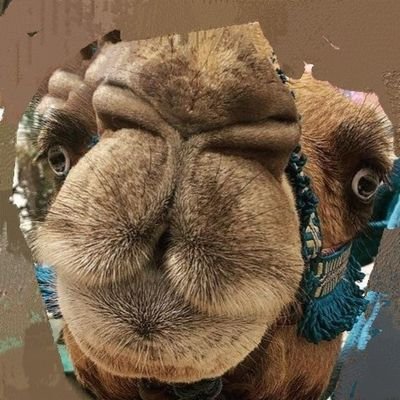 AWOLchris's profile picture. YNWA