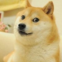 脑控受害者 (@tmqjdkijdvtlfpc) 's Twitter Profile