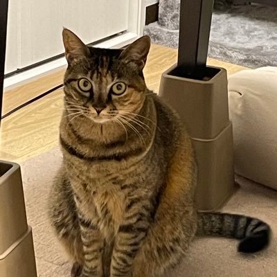 seiron0208's profile picture. 