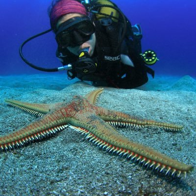 SaraGonzalezD's profile picture. Marine ecologist studying the effect of #ClimateChange on the #ocean, doing things like #Metabarcoding , #PopulationGenetics and much more 🍻