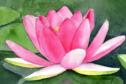 PondAquqtic's profile picture. Water feature and pond equipment.