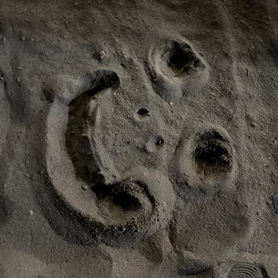 gupepe2023's profile picture. 