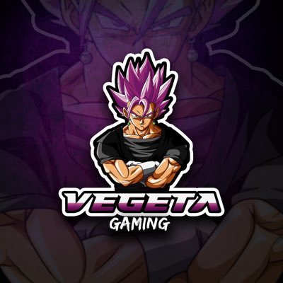 25 competitive warzone player!!! an twitch partner: Vegeta_Gmaing8