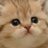 notamadcatwoman's profile image