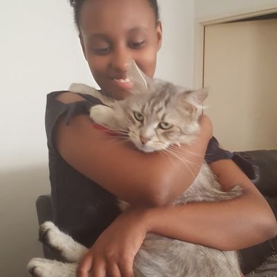 berhanayele2's profile picture. 