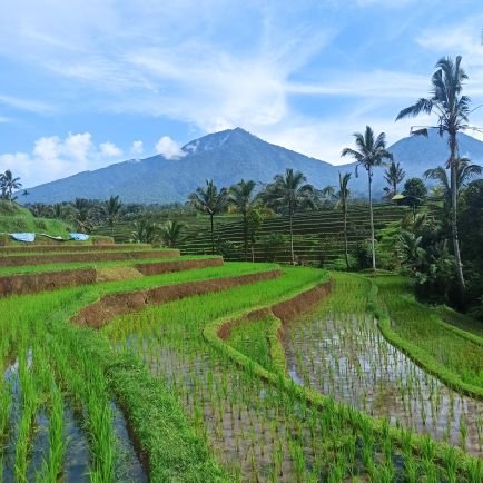 AngeLunaRaymon's profile picture. Writer, Feminist, in love with books and people. Anglo-Italian based in London and Rome. Stay tuned. Antifascista. Donna Vita Libertà