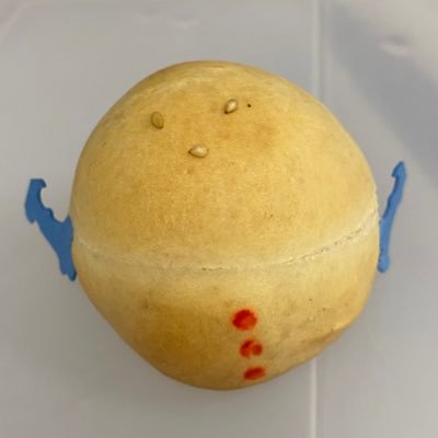 螺子間さんのプロフィール画像