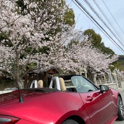 RedOutposts's profile picture. NDロードスター Caramel Topに乗っています。ロードスター乗りの方、仲良くしてください。無言フォローお許しください🙇