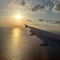 ggg (@yokog24) 's Twitter Profile