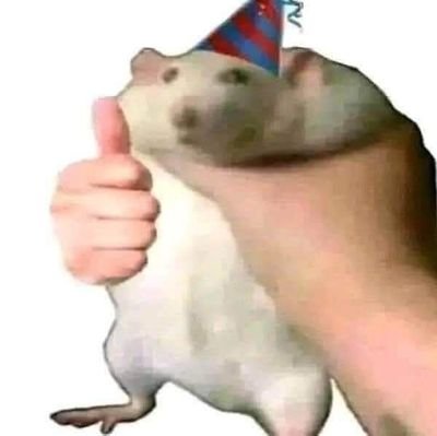 caonh_cng5's profile picture. 