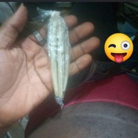 Creamy soft🍑 long thick🍆 (@_zegee_) 's Twitter Profile