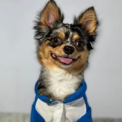 ChuliphrKay's profile picture. รักอิงล็อต.🤍🖤