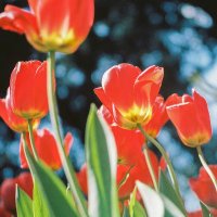 源道 (@yuandao666) 's Twitter Profile