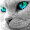 BognJohn's profile picture. 