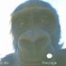 TudoNaIronia (@aquiesopiada) Twitter profile photo TudoNaIronia (@aquiesopiada) Twitter profile photo