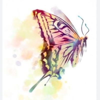 kasumisou2221's profile picture. stkt73→山大医学部医学科
うた部