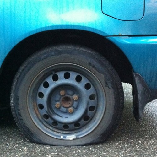 padleland's profile picture. 