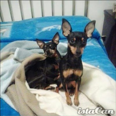 SimonettaT26881's profile picture. 