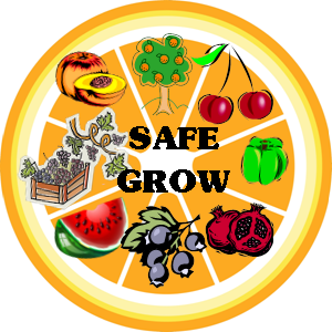 SafeGrow's profile picture. Food Safety/Grower Advocate | Fresh Fruits & Vegetables = Healthy Living! | “One day your life will flash before your eyes. Make sure its worth watching.”