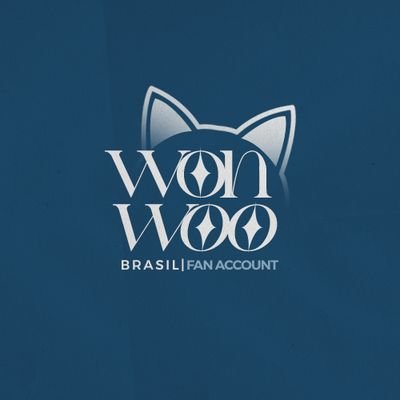 WonwooBrasil Profile Picture