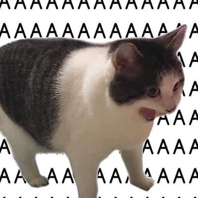 yfpkz's profile picture. 