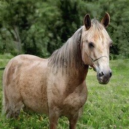 Tiffany32541708's profile picture. 