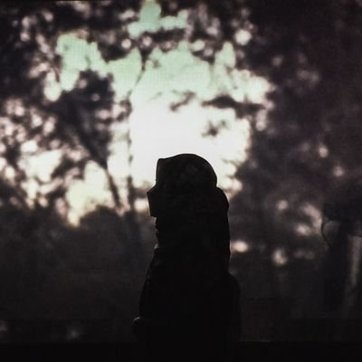 amyさんのプロフィール画像