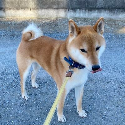 デビューからBUCK-TICKが好きです❤嫁に行かないのではなく、行けないのだよ😨 タイ沼で完璧に溺れてます💦
SmartBoom❤️Joong💖Great💖Film💖ฉันรักมัน💖