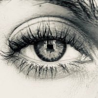 Stressica (@_miss_stress_) 's Twitter Profile