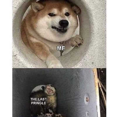 gage_kitchen's profile picture. Just here to share memes