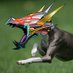 Cyber Hound_Live2D / Commision Open (@cyberhound777) Twitter profile photo Cyber Hound_Live2D / Commision Open (@cyberhound777) Twitter profile photo