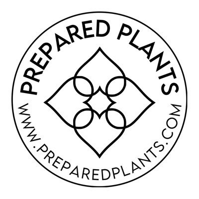 https://t.co/cW1wlTKtMM @preparedplants #preparedplants