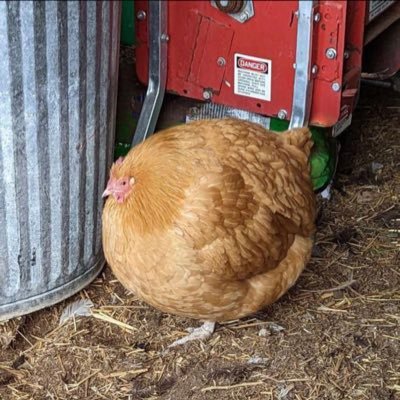 MindBocal's profile picture. 