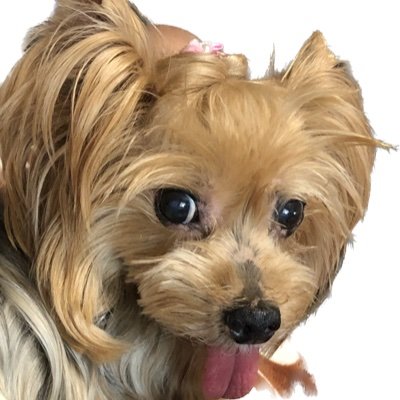 kechan7さんのプロフィール画像